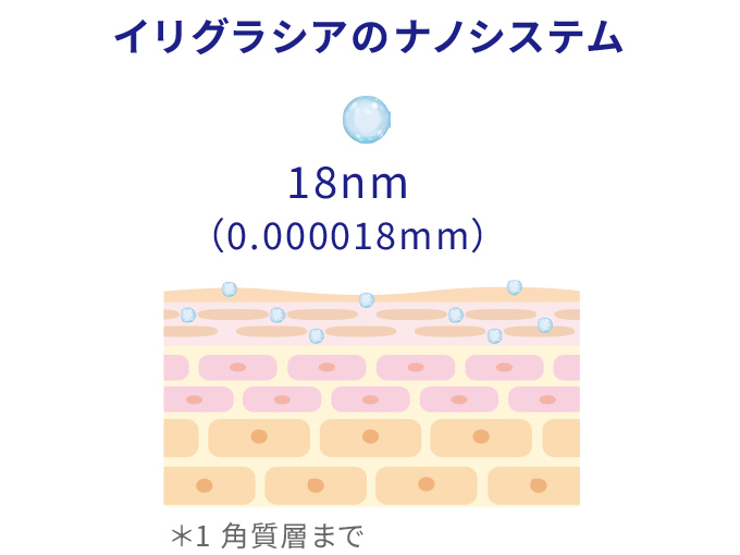 イリグラシアのナノシステム
