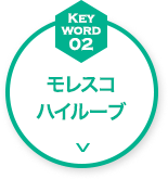 モレスコハイルーブ