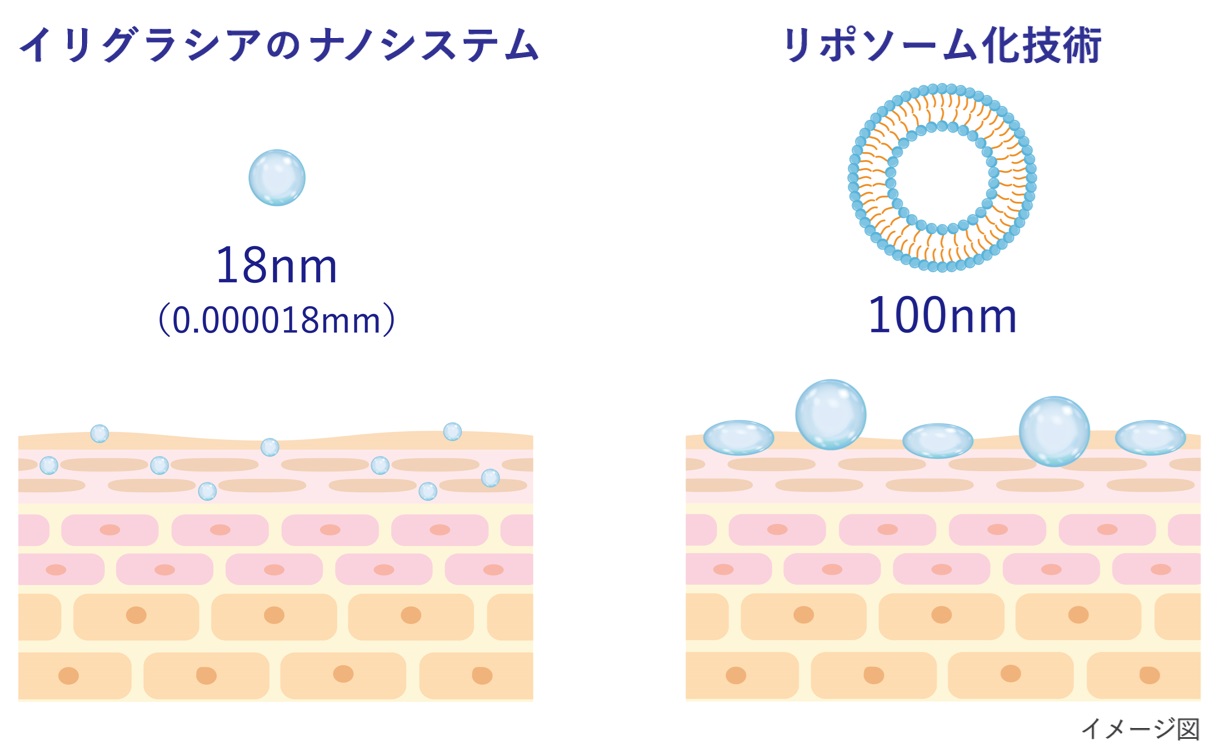 NEとリポソーム比較.jpg